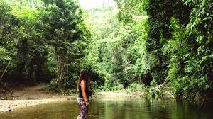 Qld health authorities confirm new virus case detected on sunshine coast. Nr8uawvvcge 1m