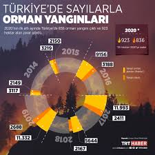 May 31, 2021 · dikici, son 10 yıldaki orman yangınları ve kaybedilen alan miktarı, 2020 yılındaki yangınlar, çıkış sebepleri, en çok yangın çıkan ay, gün ve saatler gibi orman yangınlarına. 2020 Nin Ilk 6 Ayinda 836 Orman Yangini Cikti Son Dakika Haberleri