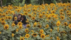 Wahai Pengguna Instagram Selfie Di Wisata Alam Pun Ada Etikanya