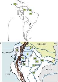 Discover 3 south american countries: A Acessions From Central And South America Excepted Ecuador And Peru Download Scientific Diagram