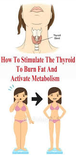 Pin On Nutrition Vital For Weight Loss