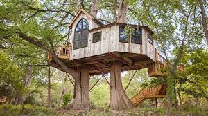 See more ideas about tree house, cool tree houses, tree. Nelson Treehouse Nelson Treehouse