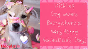 White dog says i love you a funny valentines card from the dog this dog is expressing its love for you in the universal language of a heart symbol! 12 Valentine S Day Cards Perfect The Dog Lover In Your Life Only Good Tv Positive Uplifting Stories