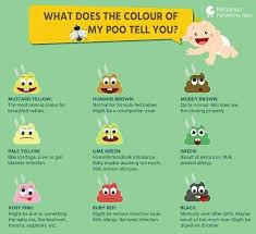 Najis bayi yang kurang daripada 6 bulan adalah lebih cair kerana pemakanan hanya daripada susu ibu atau susu formula. Klinik Safiya Jom Kenali Warna Najis Bayi Anda Warna ÙÙŠØ³Ø¨ÙˆÙƒ