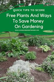 Check spelling or type a new query. Free Plants And Ways To Save Money On Gardening Canadian Budget Binder