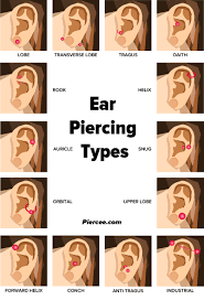 Ear Piercing Chart 17 Types Explained Pain Level Price Photo