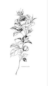 Falkenberry, mark jason (w/ male / dob: Yun Yin Yong Yunyin24 Profile Pinterest