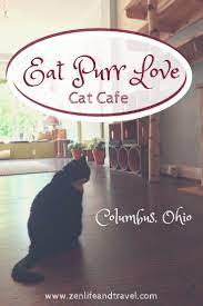 Eat Purr Love The Coolest Cat Cafe In Columbus Ohio Zen Life And Travel Cat Cafe Ohio Travel Travel