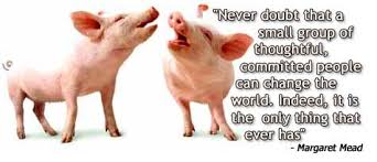 Pigs are smart little creatures. The Pig Animal Quotes Quotesgram