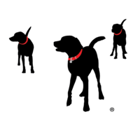 Bissellinsurance.com is tracked by us since january, 2020. Bissell Insurance Email Formats Employee Phones Liability Insurance Signalhire