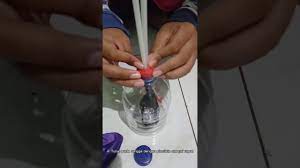 Check spelling or type a new query. Tugas Ujian Praktek Ipa Kelas 6 Pernapasan Buatan Dengan Alat Sederhana Youtube