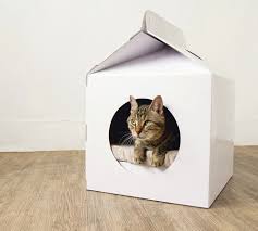 Milk Box Carton Shaped Pet House