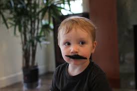 vidalicious.com » family