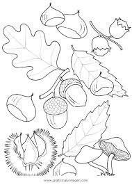 Gratis Malvorlage Kastanien 3 In Herbst Natur Zum Ausdrucken Und Ausmalen Papierstickerei Malvorlagen Herbst Malvorlagen Zum Ausdrucken