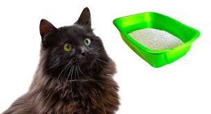I dig down about 20 cm from level and build up to about 60 cm above the original groundlevel. Best Cat Litter For Long Haired Cats Keeping Them Clean Even When Their Tray Is Dirty