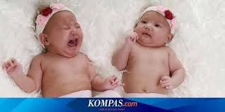 Alhamdulillah sekarang usia si kembar sudah 14 bulan dan lagi lucu lucunya. Kiat Menjalani Hamil Kembar Dengan Aman Halaman All Kompas Com