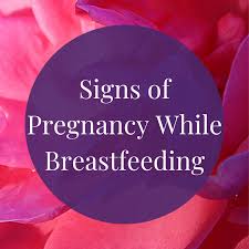 How does vitamin c affect breast milk? How To Recognize The Signs Of Pregnancy While Breastfeeding Wehavekids