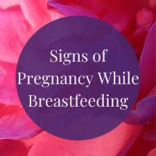 Maybe you would like to learn more about one of these? How To Recognize The Signs Of Pregnancy While Breastfeeding Wehavekids