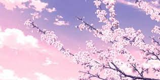 Sakura tree anime live wallpaper and turn it into your cool desktop animated wallpaper. Anime Sakura Background Aesthetic Novocom Top