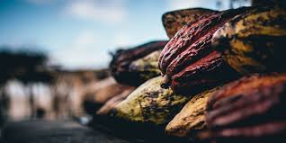 Barry Callebaut : Chef Philippe vous raconte tout — Meilleur du Chef