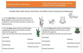 Food Web Handout Made By Amoeba Sisters Click To Visit The Website And Scroll Down To Download The Pdf Food Web Food Web Worksheet Biology Worksheet