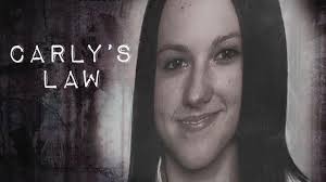 Carly's law: should it be a crime for adults to lie about their age to  children online?