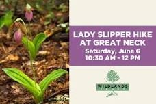 Wildlands Trust — Lady Slipper Hike at Great Neck