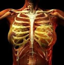 Pin On Fibromyalgia