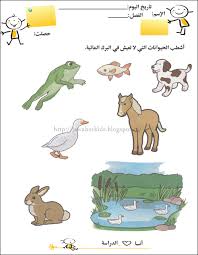 لبيب و لبيبة أوراق عمل عن المحيط الذي تعيش فيه الحيوانات