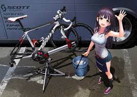 twite graphics サイクリングアート 自転車ガール 自転車アート