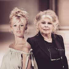 Brigitte Bardot Young Celebrities Brigitte Bardot Celebs