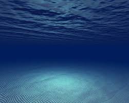 Free Download Under Water Wallpapers 1280x1024 For Your Desktop Mobile Tablet Explore 72 Underwater Background Underwater Wallpaper Hd Hawaii Underwater Wallpaper Underwater Desktop Wallpaper You can also upload and share your favorite under water wallpapers. under water wallpapers 1280x1024