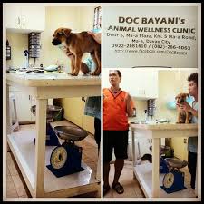 Please note this is subject to change and can vary due to government holidays. Photos At Doc Bayani S Animal Wellness Clinic Veterinarian In Davao City