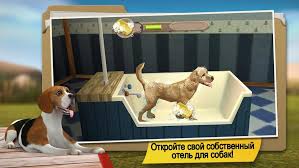 Pethotel my animal boarding version: Download Dog Hotel Premium Play With Cute Dogs Mod Money 2 1 10 Apk For Android