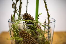 16 03 2019 erkunde marion pohlens pinnwand große glasvasen dekorieren auf pinterest. Dekoideen Fur Weihnachten Basteln Und Dekorieren