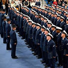 Image result for Delta 208