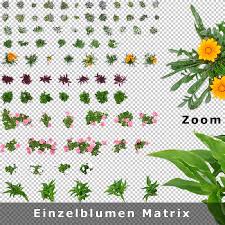 Flower cut flowers tulip sticker petal. Top View Flowers Freigestellte Blumen Als Draufsicht Von Oben Als Png Download