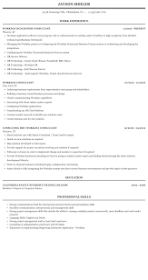 workday consultant resume sample