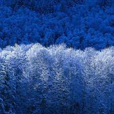 Francis ekeng gmd, servetek construction company ltd. Francis Ekeng Phone Number Address Public Records Radaris