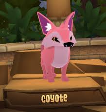 These codes are conflicting codes that may or may not work for you. Coyote Animal Jam Wiki Fandom