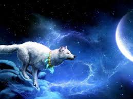 Wolf wallpapers new tab turns newtab to custom themes with hd wolves wallpaper backgrounds. Galaxy Cool Wolf Backgrounds 1280x720 Wallpaper Teahub Io