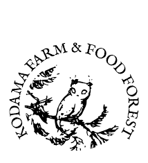 Kodama Farm Food Forest ✋ thés & infusions préparés à la main 🍃 100% naturel et maison 🧙‍♂️ créé par 3 alchimistes infuseurs boutique ouverte + livraison + click & collect👇 kodamaparis.com. kodama farm food forest