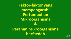 Konsentrasi bahan, setiap mikroorganisme memerlukan konsentrasi yang berbeda. Sains T5 Faktor Pertumbuhan Mikroorganisma Dan Peranan Mikroorganisma Berfaedah Youtube
