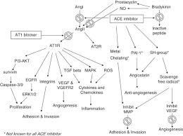 Image result for ACE Inhibitor