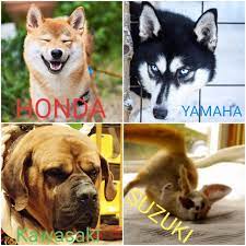 バイク4大メーカーを犬で例えると お前らが笑ったコピーをぺーinばいくちゃんねる板 https www2 bikechannel info article 135335 html suzuki yamaha honda