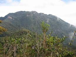 The taman negara's hiking trail is regarded as one of the most tough and challenging trek route of malaysia. Gunung Tahan Wikipedia