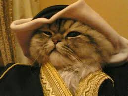 الشيخ قطو ال قطوان Cute Animals Funny Cute Cats Cat Lovers