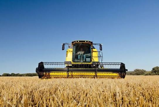 Confagricoltura, trebbiatura 2021: meno grano ma di alta qualità, a tutto  vantaggio della filiera della pasta totalmente made in Italy - Comunicati |  Confagricoltura