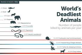 15 Deadliest Animals On Earth Deadly Animals Animals Animals Of The World