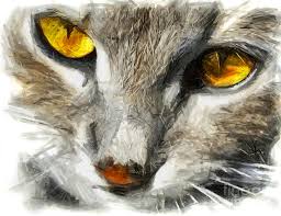 You don't just have to make an oval, you could make a circle, or a triangle, whatever shape you want the eye to be. Grey Cat With Yellow Eyes Drawing Drawing By Daliana Pacuraru